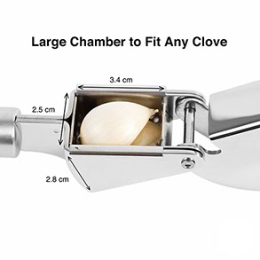 Kammer der Ingwerpresse