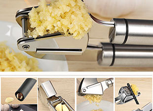 Ingwerpresse Anwendung